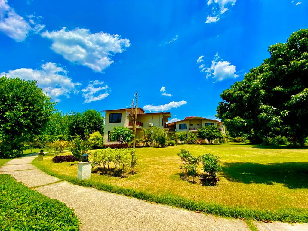  decoracao resort