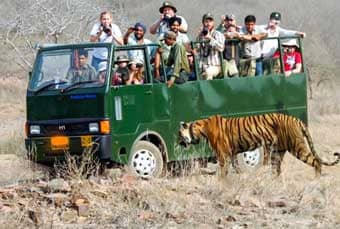 corbett night tour