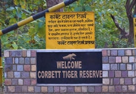 corbett tour