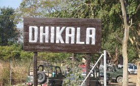 diklaloge