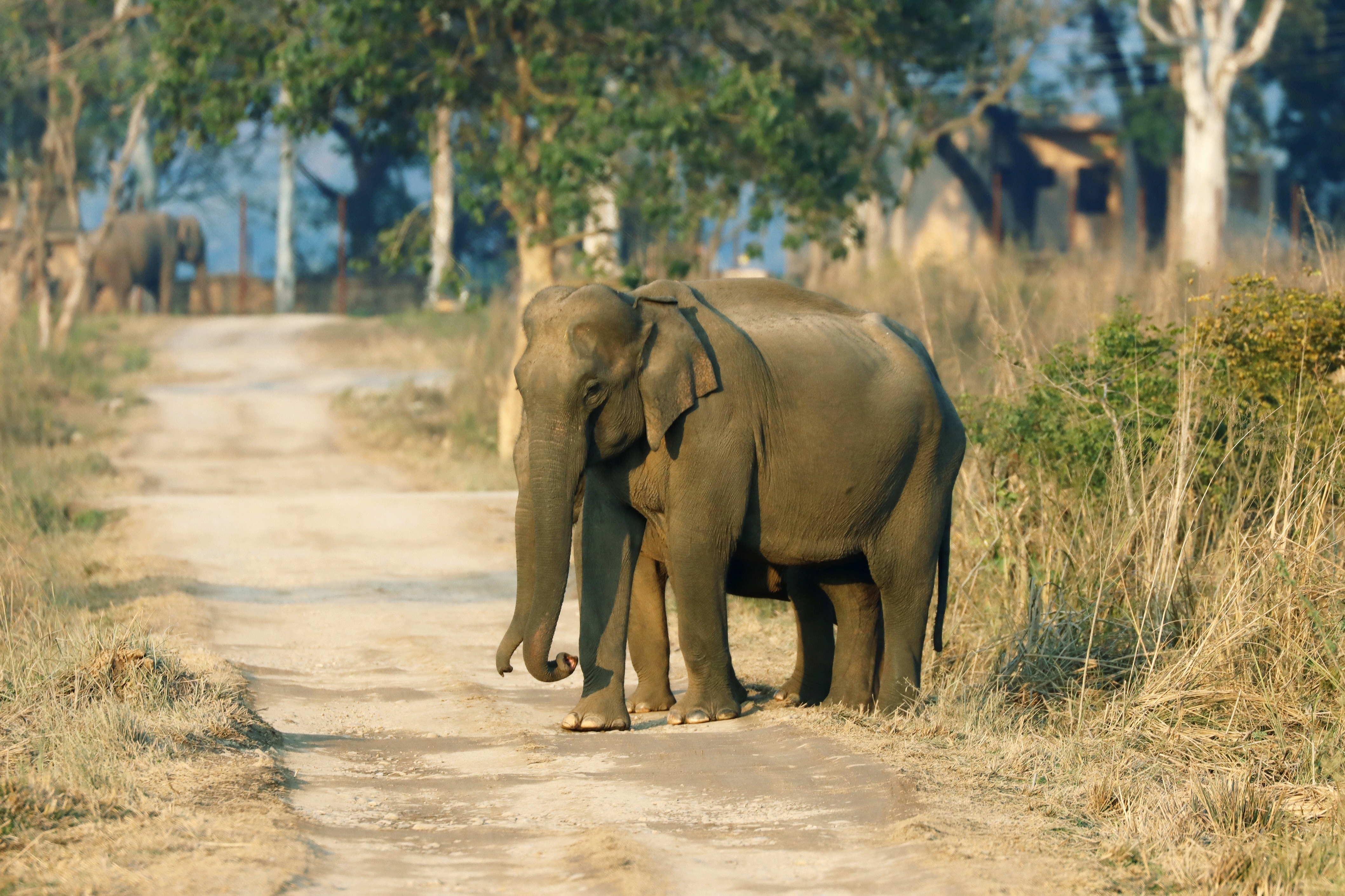 corbett 2night tour package